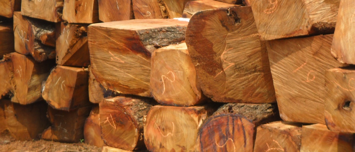 Sciage de bois à façon - Rolot & Fils SA